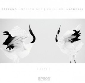 calendario Epson - Cover