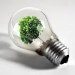 lampadina green