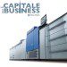 konica bizhub capitale business